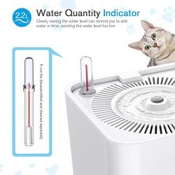 isYoung Cat Water Fountain,84oz/2.5L Quiet Automatic Pet Fountain with 5 Replacement Filters and Cleaning Brushes for Cats,Dogs