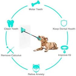 pet jouet Dog Chew Toys with Double Suction Cup, Dog Toys for Aggressive Chewers, Dog Molar Bite Toy, Interactive Ropes Toy for Dog Teeth Cleaning, Tug of War, Puppy Dog Trainng, Kill Boring Time.