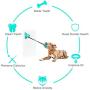 pet jouet Dog Chew Toys with Double Suction Cup, Dog Toys for Aggressive Chewers, Dog Molar Bite Toy, Interactive Ropes Toy for Dog Teeth Cleaning, Tug of War, Puppy Dog Trainng, Kill Boring Time.