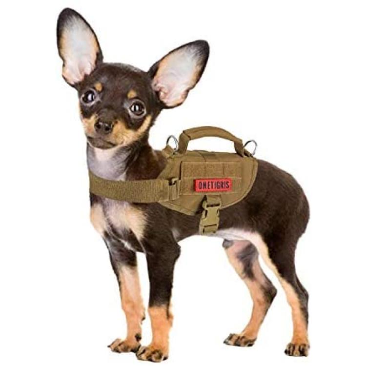 SERVICE DOG BACKPACK Dog Harness vest Saddle Bags Velcro Patches 'IN  TRAINING