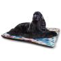 DayDayFun Modern Pet Training Mat China Shangai Airport with Big Jet Plane Wanderlust Traveller Photograph Pet Mat Waterproof White and Sky Blue