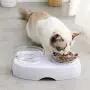 Love Dream Raised Cat Food Bowls with Stand, 15° Tilted Cat Water Food Bowl, Slow Feeder Elevated Pet Bowl Stress-Free Suit for Cats Small Dogs Love Dream Raised Cat Food Bowls with Stand, 15° Tilted Cat Water Food Bowl, Slow Feeder Elevated Pet Bowl Stress-Free Suit for Cats Small Dogs