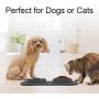 N/E M&J Bone-Shaped Dog Bowl Stainless Steel Dog Bowl, 2 Medium-Sized Bowls (13.3 Ounces Each) Leak-Free, Non-Slip Silicone pad, Used for Small Dogs, Pets, Cats Feeding Bowls