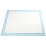GOBUDDY Super Absorbent Pet Training Puppy Pads 22” x 22” – 100 Count (100-Count)