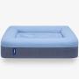 Casper Dog Bed, Plush Memory Foam, Medium, Blue