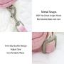 HUTTOBOY Dog Harness Small and Medium,Adjustable Soft Pet Strap,Dog Harness with Small Backpack, Easy to Control,Suitable for Small and Medium-Sized Dogs.
