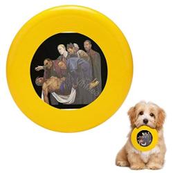 Pet Frisbee Flying Disc Dog Toy - Multifunction Street Hiphop