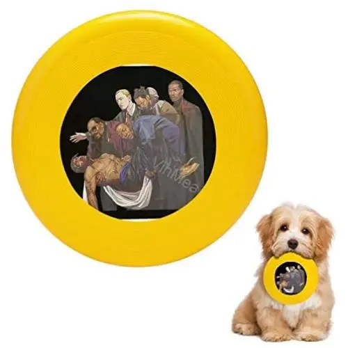 Pet Frisbee Flying Disc Dog Toy - Multifunction Street Hiphop