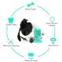 THINIDA Dog Toothbrush, Cactus-Shape Dog Chew Toy, Dental Care Dog Brushing Stick, Dog Teeth Cleaning Toy with Suction Cup for Small, Medium and Large Pets, Puppies and Dogs THINIDA Dog Toothbrush, Cactus-Shape Dog Chew Toy, Dental Care Dog Brushing Stick, Dog Teeth Cleaning Toy with Suction Cup for Small, Medium and Large Pets, Puppies and Dogs