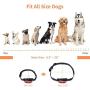 PetInn Dog Training Collar Bundle with Dog Treat Toy Ball