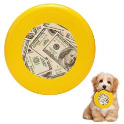 Pet Frisbee Flying Disc Dog Toy - Multifunction How to Build Wealth from Nothing