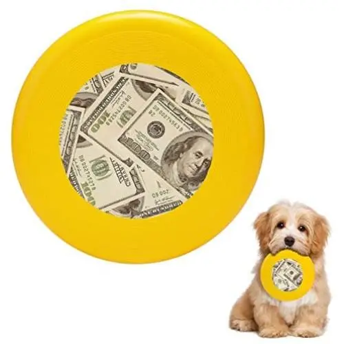 Pet Frisbee Flying Disc Dog Toy - Multifunction How to Build Wealth from Nothing Pet Frisbee Flying Disc Dog Toy - Multifunction How to Build Wealth from Nothing