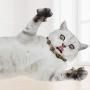 ocijf179 Cat Toy Pet Cat Kitten Matatabi Necklace Shaped Molar Stick Interactive Chew Catnip Toy