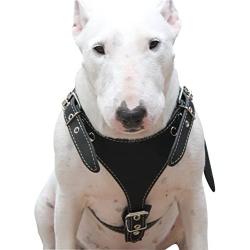 Black Genuine Leather Dog Harness, Medium. 25''-30'' Chest, 1'' Wide Adjustable Straps