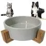 ZYYRT Ceramic Raised Dog Bowl Basic Cat Food Bowl Water Dish with Anti-Slip Wooden Stand for Dogs and Cats, Dishwasher Safe ZYYRT Ceramic Raised Dog Bowl Basic Cat Food Bowl Water Dish with Anti-Slip Wooden Stand for Dogs and Cats, Dishwasher Safe