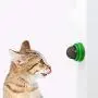 Pudwy 1/4 pcs Natural Cat Catnip Toy Pet Treat Balls Pet Catnip Toys Interactive Cats Teeth Cleaning Supplies Can Be Sticky On Wall Pudwy 1/4 pcs Natural Cat Catnip Toy Pet Treat Balls Pet Catnip Toys Interactive Cats Teeth Cleaning Supplies Can Be Sticky On Wall