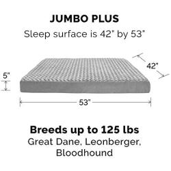Furhaven Pet - Traditional Orthopedic Foam Mattress Dog Bed and Calming Anti-Anxiety Round Oval Nest Cuddler Dog Bed for Dogs and Cats - Multiple Sizes, Styles, and Colors.