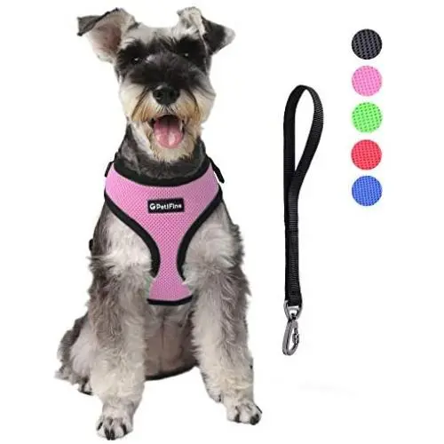 PetiFine Dog Harness with Car Safety Seat Belt, Adjustable Breathable Air Mesh Puppy Vest Harness for X- Small/Small/Medium/Large Dogs & Cats PetiFine Dog Harness with Car Safety Seat Belt, Adjustable Breathable Air Mesh Puppy Vest Harness for X- Small/Small/Medium/Large Dogs & Cats