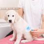 Depets Self Cleaning Slicker Brush, Pet Grooming Shedding Brush for Dogs and Cats - Easy to Remove Loose Undercoat, Pet Massaging Tool Suitable for Pets with Long or Short Hair