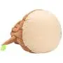 Hollypet Cozy Pet Bed Warm Cave Nest Sleeping Bed Tree Shape Puppy House for Cats and Small Dogs, Stump