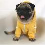 meioro Dog Clothes Hoodies Pet Cat Warm Soft Cotton Zipper Sweater Coat French Bulldog Pug (XS, Yellow)