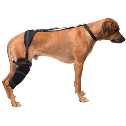Caldera Pet Therapy Stifle Wrap with Gel, Large, Black