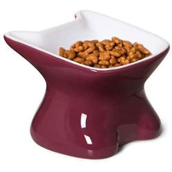 LE TAUCI Ceramic Cat Bowl Elevated, Raised Cat Food Bowl 4 Ounce Cat Dish for Food and Water for Small Cat Dog