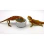 Carolina Custom Cages Superworm Bowls, 2 Each