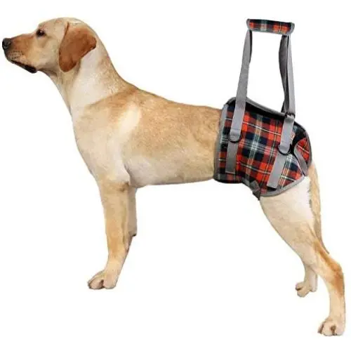 ZJWD Dog Lift Harness,Dog Recovery Sling Lift Harness Portable Pet Rehabilitation Vest,for Small Large Dogs Surgery Recovery Walking Pain Relief,Orange,L ZJWD Dog Lift Harness,Dog Recovery Sling Lift Harness Portable Pet Rehabilitation Vest,for Small Large Dogs Surgery Recovery Walking Pain Relief,Orange,L