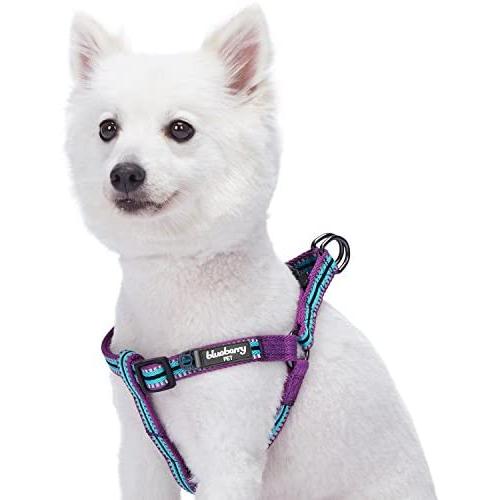 Blueberry Pet 5 Colors Step-in 3M Reflective Multi-Colored Stripe Padded Dog Harnesses