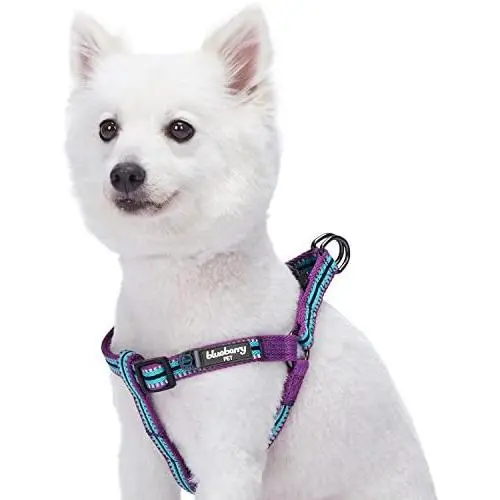 Blueberry Pet 5 Colors Step-in 3M Reflective Multi-Colored Stripe Padded Dog Harnesses Blueberry Pet 5 Colors Step-in 3M Reflective Multi-Colored Stripe Padded Dog Harnesses