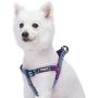 Blueberry Pet 5 Colors Step-in 3M Reflective Multi-Colored Stripe Padded Dog Harnesses