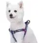 Blueberry Pet 5 Colors Step-in 3M Reflective Multi-Colored Stripe Padded Dog Harnesses Blueberry Pet 5 Colors Step-in 3M Reflective Multi-Colored Stripe Padded Dog Harnesses