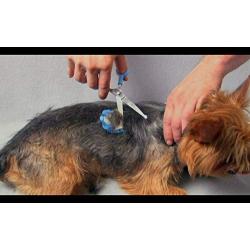 Scaredy Cut Silent Clipper, Pink, with Safari De-Matting Comb