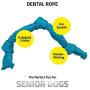Playology Silver - Dental Rope Dog Toy - Designed for Senior Dogs - Engaging All-Natural Scent