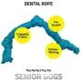 Playology Silver - Dental Rope Dog Toy - Designed for Senior Dogs - Engaging All-Natural Scent Playology Silver - Dental Rope Dog Toy - Designed for Senior Dogs - Engaging All-Natural Scent