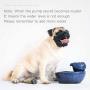 KUANDARM Fountains and Water Features, Cat Water Dispenser, Flower Style Dog Drinking Fountain with Filter, Super Quiet Automatic Water Drinking Bowls Drinking Fountains for Dogs, Blue