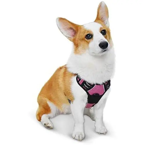 Bitsymore Dog Harness No Pull Reflective Pet Harness Outdoor Adjustable Vest with Quick Release Clasp Easy Control Handle for Small Medium Large Dogs Walking Training Bitsymore Dog Harness No Pull Reflective Pet Harness Outdoor Adjustable Vest with Quick Release Clasp Easy Control Handle for Small Medium Large Dogs Walking Training