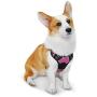 Bitsymore Dog Harness No Pull Reflective Pet Harness Outdoor Adjustable Vest with Quick Release Clasp Easy Control Handle for Small Medium Large Dogs Walking Training