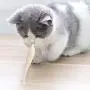 Pet Cat Fish Shape Toothbrush with Catnip Toys,New Interactive Tooth Cleaning Toy for Kitten Kitty,Multi-Function Food Grade Silicone Cat Molar Stick,Get Rid of Bad Breath & Keep Teeth Healthy Pet Cat Fish Shape Toothbrush with Catnip Toys,New Interactive Tooth Cleaning Toy for Kitten Kitty,Multi-Function Food Grade Silicone Cat Molar Stick,Get Rid of Bad Breath & Keep Teeth Healthy