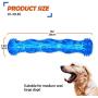 ZNOKA TPR Squeak Dog Chew Bone Toy, Bite Resistant Durable Tough Rubber Non-Toxic Tooth Cleaning Toy for Aggressive Chewer, Floating & Suitable for Pool Use(Large)