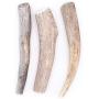 Perfect Pet Chews - Economy Deer Antler Dog Chew (Medium - Dog Weight 20-40 Lbs 3 - Pack) and Elk Antler Burr Bundle