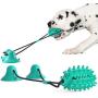 Molauna Dog Toy Toothbrush Stick Rubber Bite Resistant Chewers Cactus Chew Sticks for Dogs Pets with 1 2 Sucker