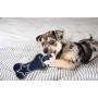 Pets First NFL Dallas Cowboys Dental Dog TUG Toy with Squeaker. Tough PET Toy for Healthy Fun, Teething & Cleaning Pets Teeth & Gum, one Size, DAL-3310