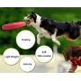 Durable Dog Throw Toy Float Nearly Indestructible Flying Disc Dog Toy,Large for Medium to Large Dogs DT101