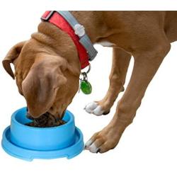 PetLike Dog Bowls Pet Food Bowls, No Spill Cat Food Bowl Water Food Feeder Pet Dishes for Cat Puppies Small Dogs