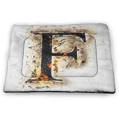 DayDayFun Letter E Pad Pet ABC of Sports Concept Different Gaming Balls First Name Initial Monogram Design Comfortable Soft Pet Cushion Multicolor