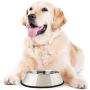 SunGrow Extra Large No Spill Feeding Bowl for Dogs and Cats, 14.3-inches Wide, 3.5-inches Deep, 11.4-inches in Diameter, Stainless Steel Vessel with Non-Slip Rubber Base