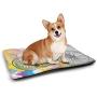 Nomorer Pet Mat Bed Silver for Food and Water for Wood Floors Technology Structure with Wavy Stripe and Checkered Motif Industrial Grid Print Charcoal Grey