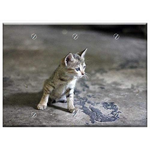 Triple Blank Wall Plate Cover - Cat Animal Kitten Kitty Looking Feline Pet